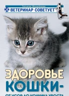 Здоровье кошки от усов до кончика хвоста