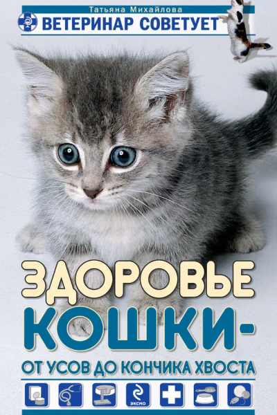 Здоровье кошки от усов до кончика хвоста