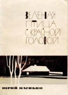 Зеленая птица с красной головой