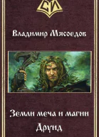 Земли меча и магии Друид СИ