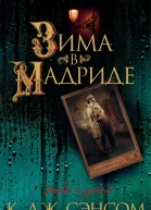 Зима в Мадриде