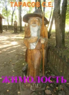 Жимолость