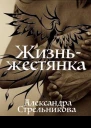 Жизнь  жестянка СИ