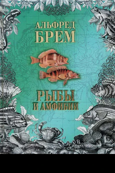 Жизнь животных Рыбы и амфибии