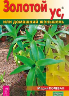 Золотой ус или домашний женьшень