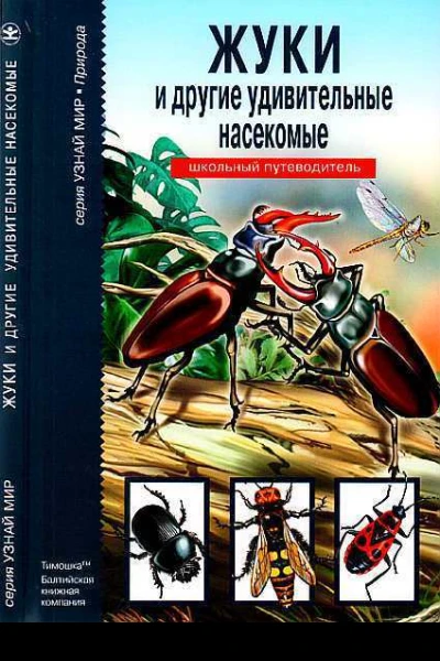 Жуки и другие удивительные насекомые
