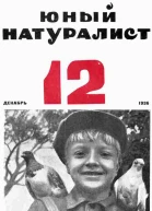 Журнал Юный Натуралист 12 1936
