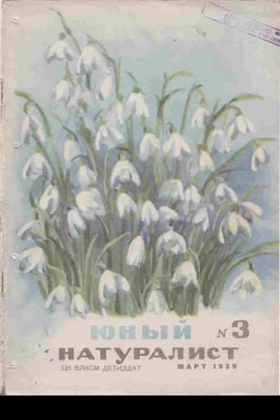 Журнал Юный Натуралист 3 1939