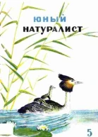 Журнал Юный Натуралист 5 1936