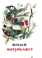 Журнал Юный Натуралист 6 1936