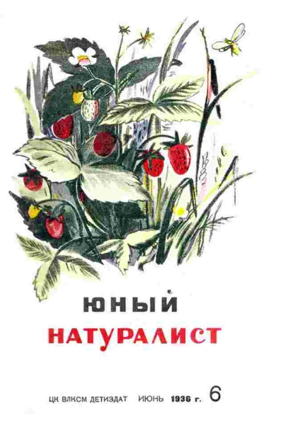 Журнал Юный Натуралист 6 1936