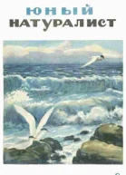 Журнал Юный Натуралист 6 1940