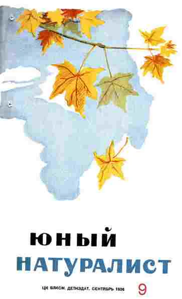 Журнал Юный Натуралист 9 1936