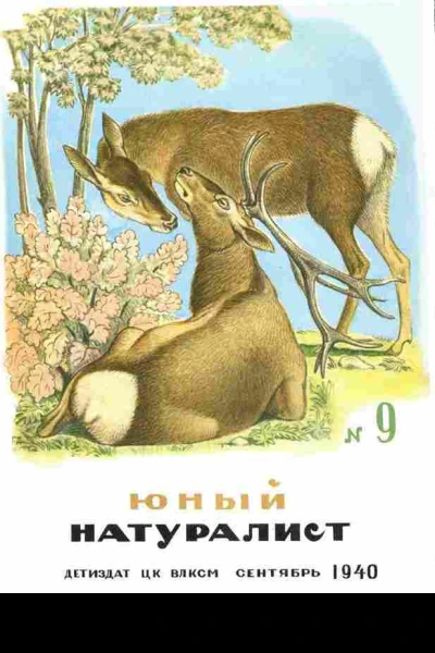 Журнал Юный Натуралист 9 1940