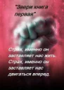 Звери  книга первая