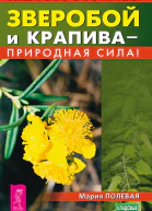 Зверобой и крапива  природная сила