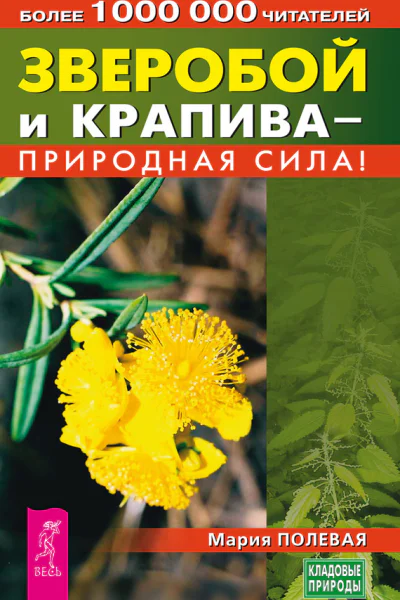 Зверобой и крапива  природная сила