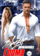 Звезда полковника Грома