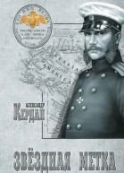Звёздная метка