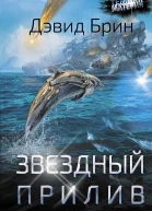 Звездный прилив  Дэвид Брин